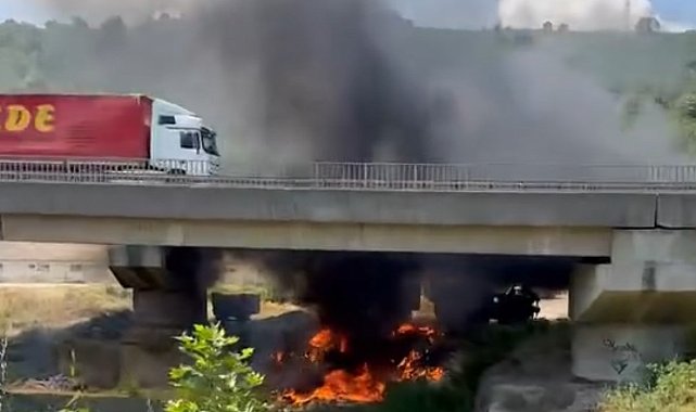 TEM'de korkutan yangın