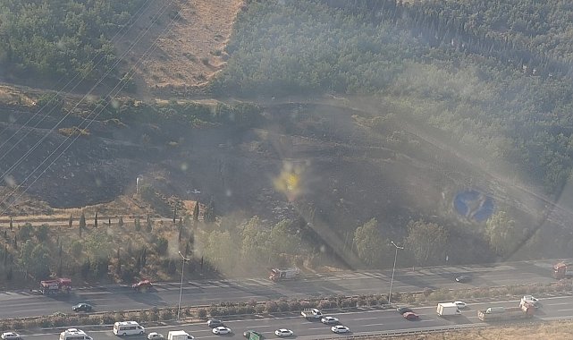 Tır alev aldı, ormanı tutuşturdu