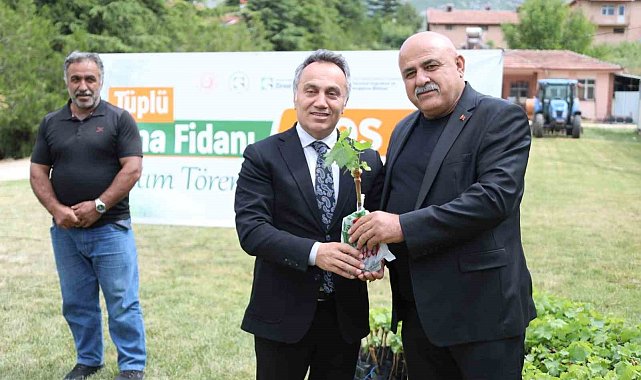 TOGÜ tüplü asma fidanlarını üreticiyle buluşturdu