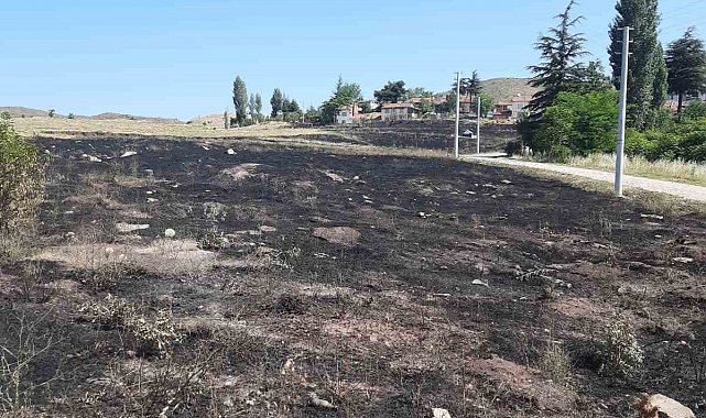 Torpilden çıkan yangında 15 dönümlük arazi kül oldu