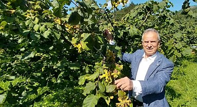 Trabzon Ticaret Borsası Başkanı Ergan: