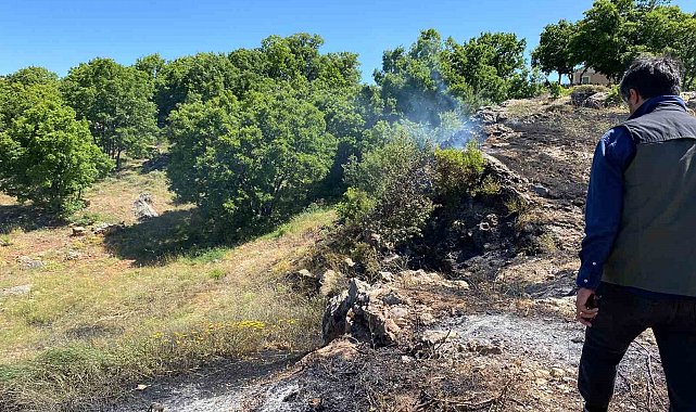 Tunceli'de yangın köye sıçramadan engellendi