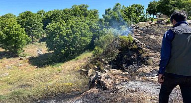 Tunceli'de yangın köye sıçramadan engellendi
