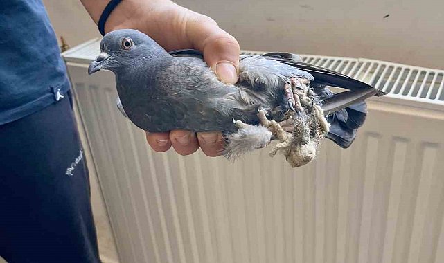 Türkeli Anadolu İHL öğrencilerinden örnek davranış