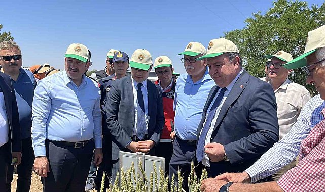 Türkiye'de hububatta toprağa düşen her dört tohumdan birini TİGEM üretiyor