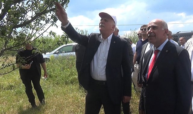 TZOB Başkanı Bayraktar: "Don hadisesi Türkiye'nin yaklaşık 65 ilinde özellikle meyve ürünlerimize büyük zarar verdi"