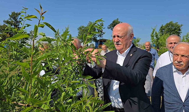 TZOB Genel Başkanı Bayraktar, Karabük'te zirai dondan etkilenen tarlaları inceledi