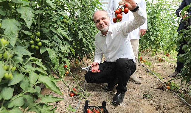 Üreten üniversite NÖHÜ, tarım faaliyetlerine devam ediyor