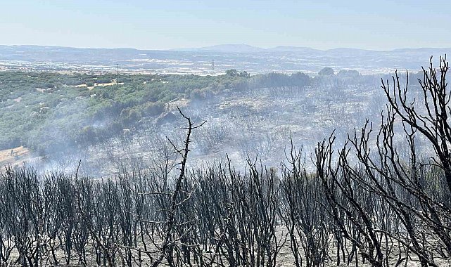 Uşak'ta tarım arazisinde çıkan yangın makilik alama sıçradı