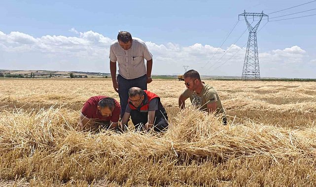Uşak'ta tarım ekiplerinden biçerdöverlere sıkı denetim