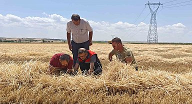 Uşak'ta tarım ekiplerinden biçerdöverlere sıkı denetim