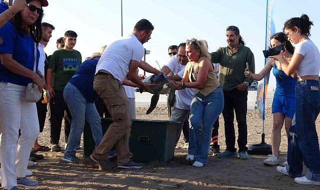Uydu cihazı takılan kaplumbağa 'Atlas' denize bırakıldı