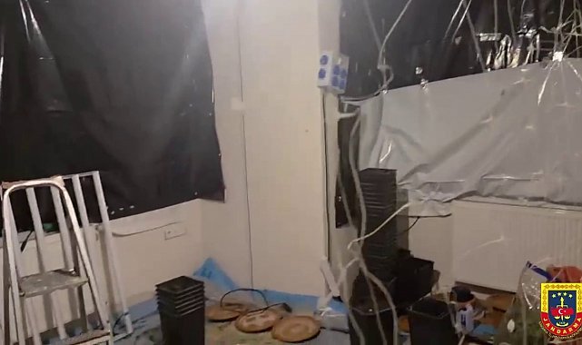 Uyuşturucu serasına çevrilen eve jandarma baskını