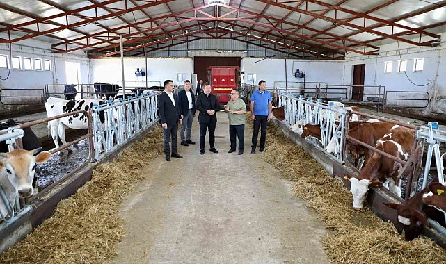 Vali Aydoğdu Düve Üretim Merkezi'nde incelemelerde bulundu