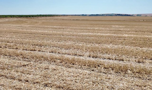 Vali Sezer'den yangın uyarısı: "Bir kıvılcım, bir yılı yok eder"