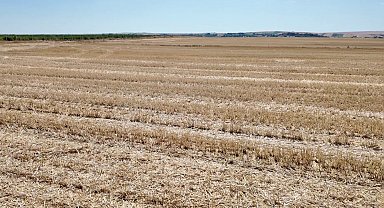 Vali Sezer'den yangın uyarısı: "Bir kıvılcım, bir yılı yok eder"