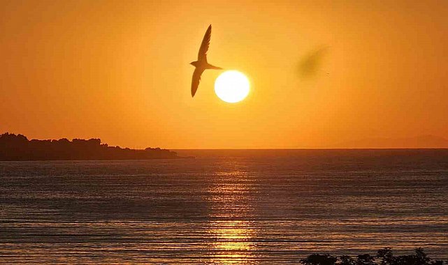 Van Gölü'nün kalbinden doğan güneş hayran bıraktı