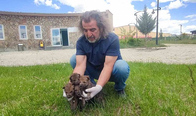 Van YYÜ Yaban Hayvanları Merkezi, yaban hayvanlarına kreş hizmeti sunuyor