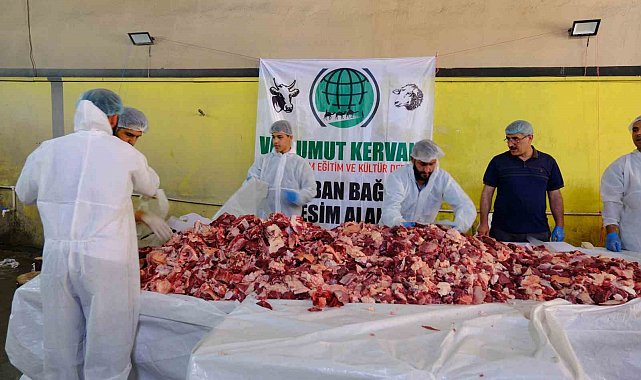 Van'da geleneksel toplu kurban kesimi