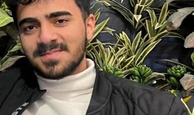 Viranşehir'de trafik kazası: 1 ölü