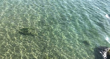 Yakıt dökülen deniz temizlendi: Vatandaşlar soluğu İnkumu'nda aldı