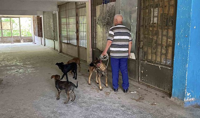 Yaklaşık 2 haftadır depoda mahsur kalan 6 köpek kurtarıldı