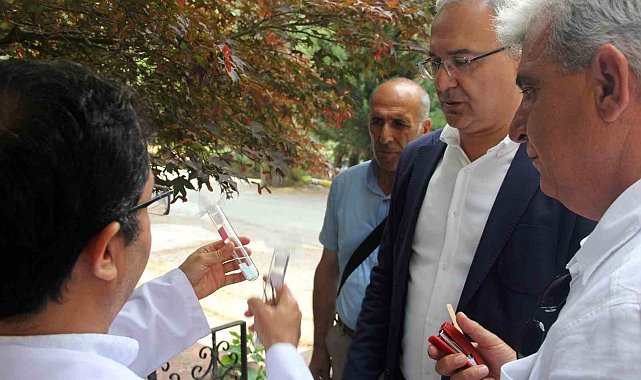 Yalova'da kahverengi kokarcaya karşı samuray arılar doğaya salındı