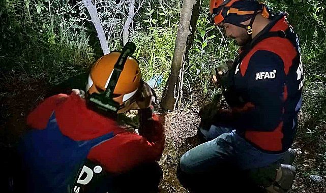 Yalova'da kayıp vatandaş ormanda ölü bulundu