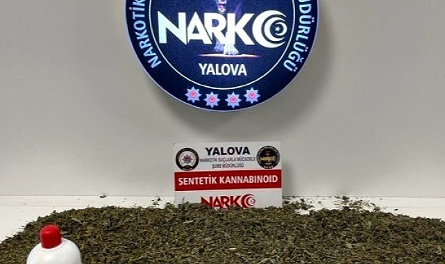 Yalova'da uyuşturucu operasyonlarında 9 tutuklama