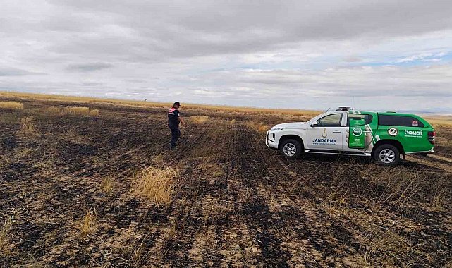 Yangın sonrası doğadaki canlılar kontrol edildi