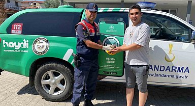 Yaralı halde bulunan baykuş, jandarma ekiplerince kurtarıldı