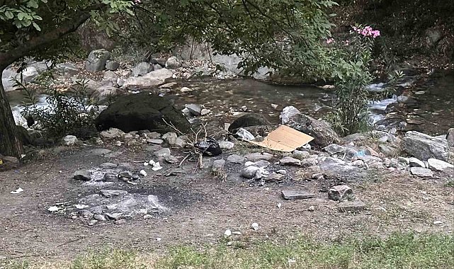 Yasağı delip ormanda mangal yaktılar, jandarmadan kaçamadılar