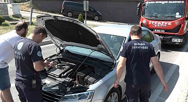 Yavru kedi, trafiği kilitledi