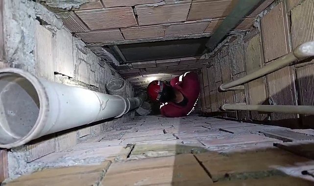 Yavru kedisi kurtarılan yaşlı kadın söyledikleriyle yürekleri ısıttı