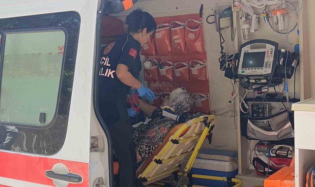 Yaya geçidinde kamyonetin çarptığı yaşlı kadın yaralandı