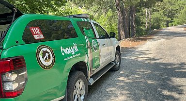 Yayla yolunda kaybolan yaşlı adam 300 kişilik ekiple aranıyor