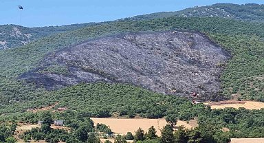 Yenişehir ilçesindeki yangın söndürüldü