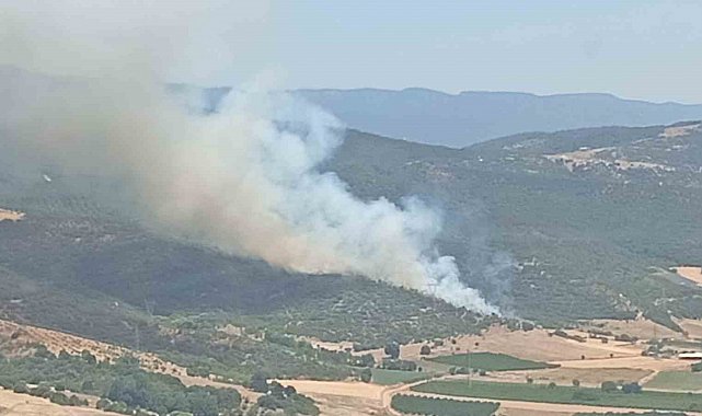 Yenişehir'deki yangının gücü azaldı