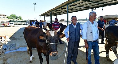 Yeşilyurt Belediyesi 41 noktada kurban satış ve kesim yeri belirledi