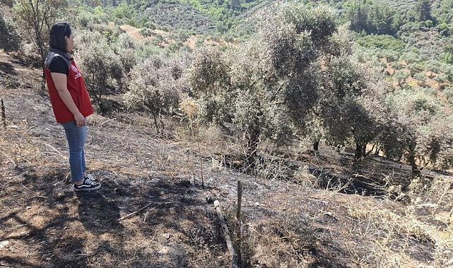 Yeşilyurt'taki yangında zarar gören tarım alanlarında hasar tespit çalışması yapıldı
