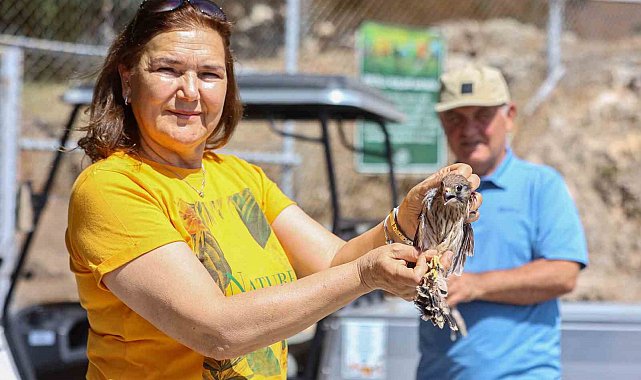 Yetişkinliğe erişen kerkenez yavruları doğal ortamlarına bırakıldı