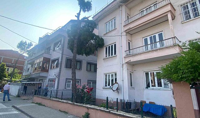 Yıkılma tehlikesi olan ağaç itfaiye ekipleri tarafından kesilecek