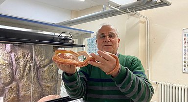 Yılan Müzesi, 185 sürüngen türüyle eğitim ve araştırma merkezine dönüştü