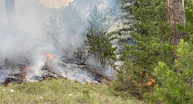 Yıldırım düşmesi sonucu çıkan orman yangını büyümeden söndürüldü