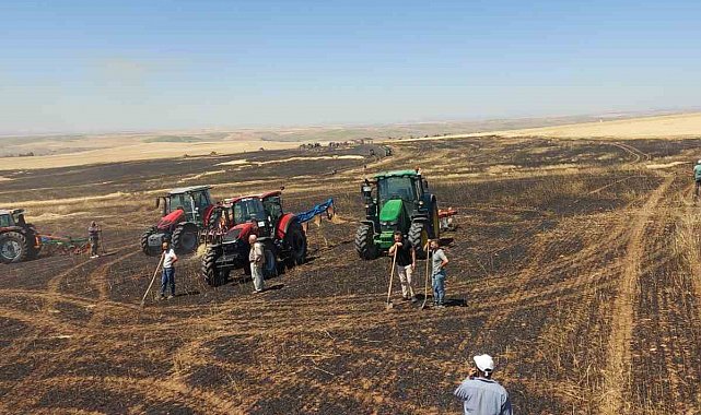 Yozgat'ta 100 dönüm ekili alan kül oldu