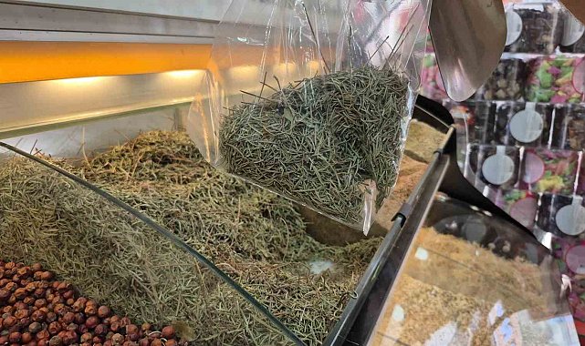 Zayıflamak için canınızdan olmayın