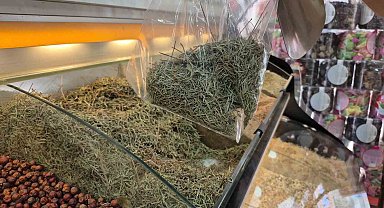 Zayıflamak için canınızdan olmayın