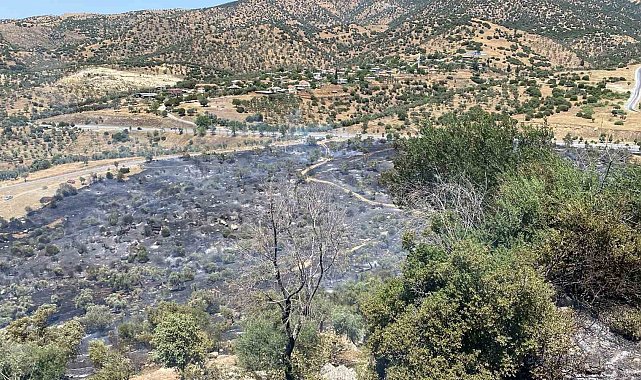 Zirai alan yangını büyümeden kontrol altına alındı