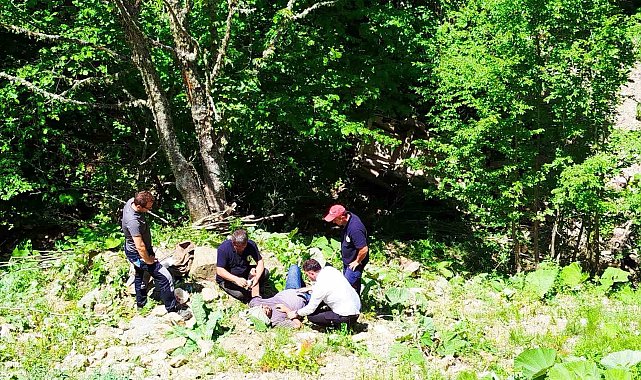 Zonguldak'ta 80 metreden şarampole devrilen otomobildeki 3 kişi yaralandı