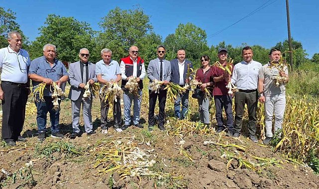 Zonguldak'ta ilk kez makineli sarımsak hasadı gerçekleştirildi
